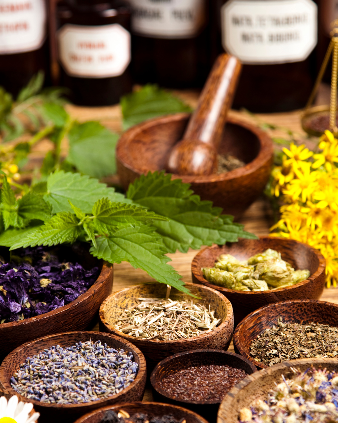 Herbalist Wellness Support Consultation